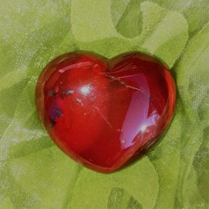 Heilpraktikerin Gifhorn Celle Hohne