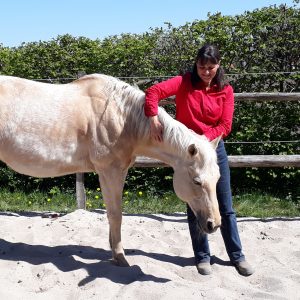 Persönlichkeitsentwicklung mit Hilfe der Pferde
